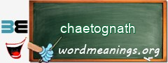 WordMeaning blackboard for chaetognath